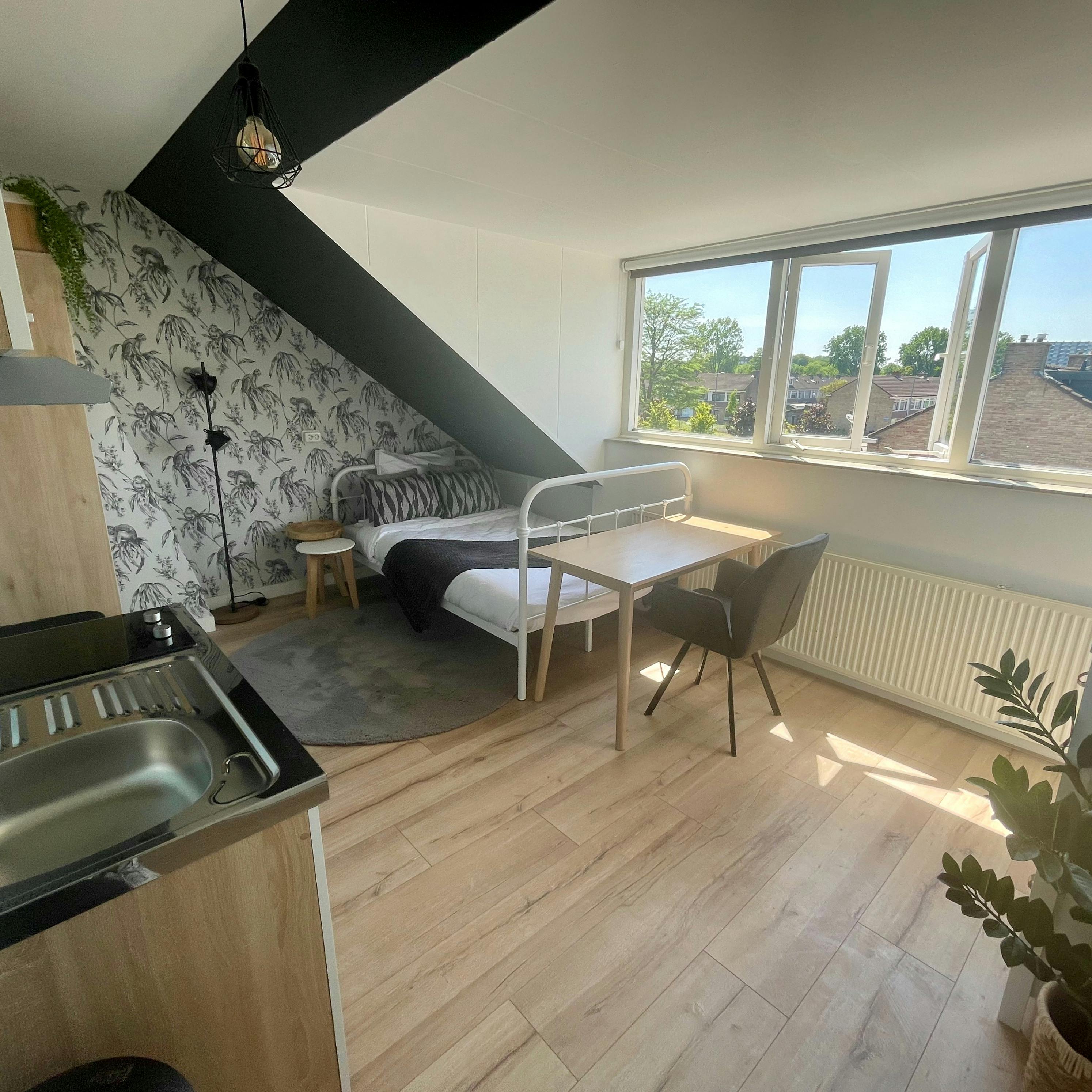 Studio for rent for €900 per month in Rotterdam, Spitsenhagen