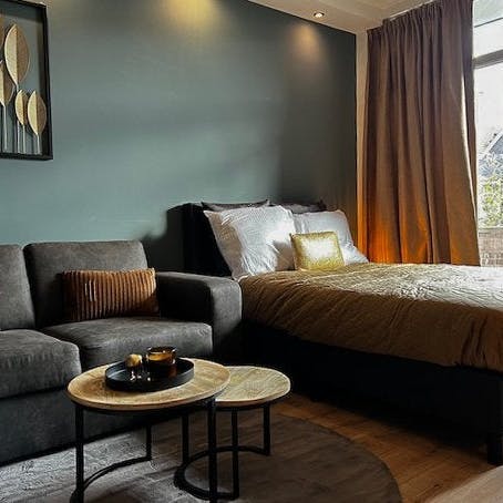 Studio for rent for €906 per month in Rotterdam, Mijnsherenlaan